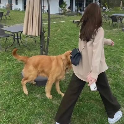 瑞奇·斯坦尼克